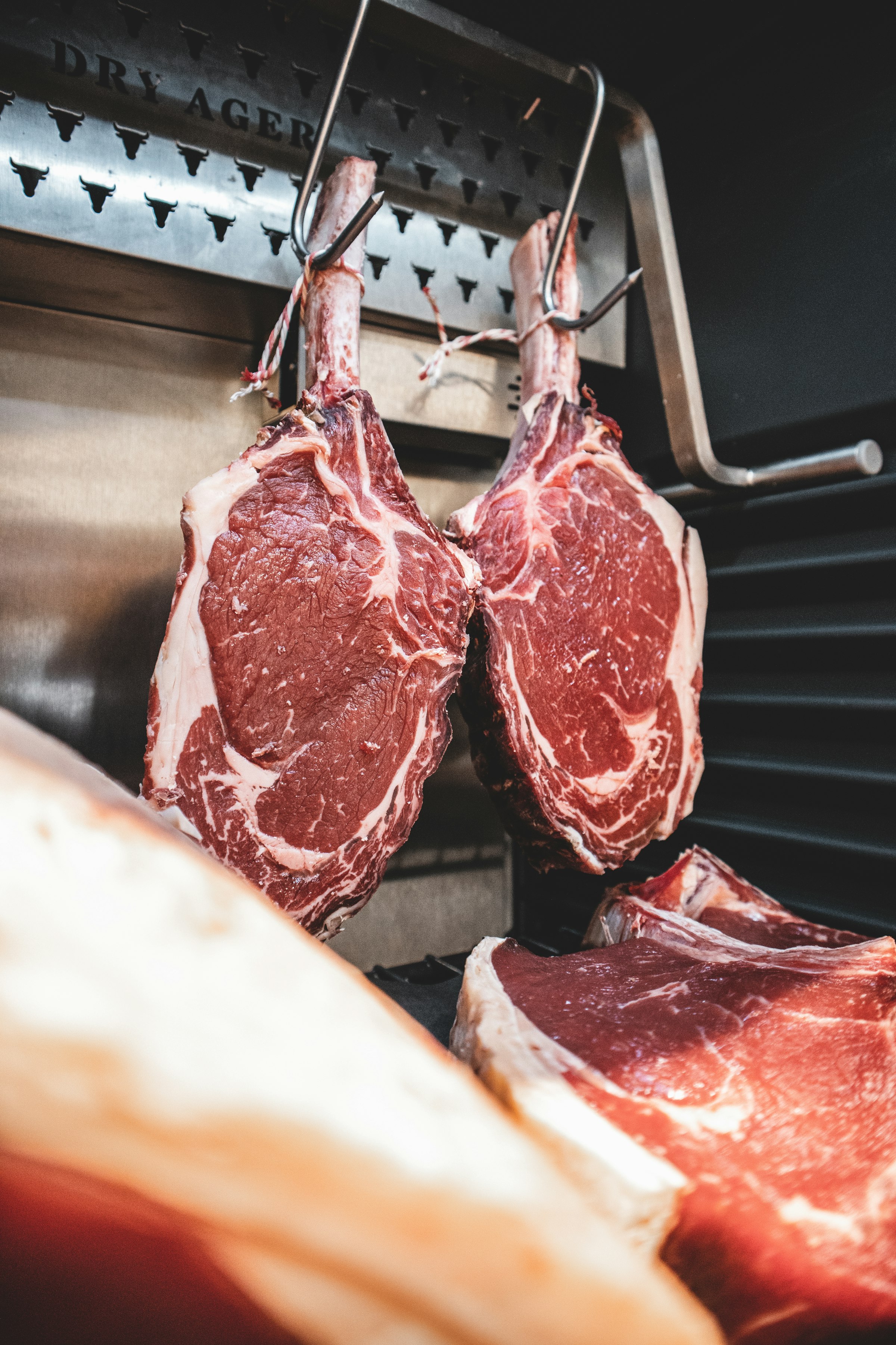 Rib cuts of beef hanging on hooks inside a humidity-controlled dry-ageing cabinet